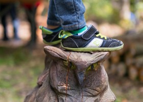 un-arbre-un-enfant-16-6437 Un arbre, un enfant, édition 2016.