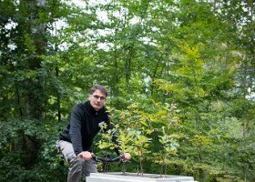 un-arbre-un-enfant-16-6480 Michaël Rosselet, responsable du patrimoine arboré lausannois