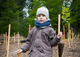 un-arbre-un-enfant-16-6503 Un arbre, un enfant, édition 2016.