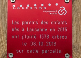 un-arbre-un-enfant-16-6508 Un arbre, un enfant, édition 2016.