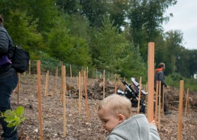 un-arbre-un-enfant-16-6535 Un arbre, un enfant, édition 2016.