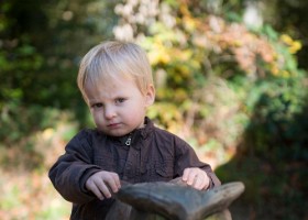 Un arbre, un enfant, 2017 Un arbre, un enfant, édition 2017. Les parents des enfants nés à Lausanne en 2016 ont planté 1716 arbres le 7 octobre 2017 sur cette parcelle.