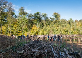 Un arbre, un enfant, 2017 Un arbre, un enfant, édition 2017. Les parents des enfants nés à Lausanne en 2016 ont planté 1716 arbres le 7 octobre 2017 sur cette parcelle. – Le site dans la...