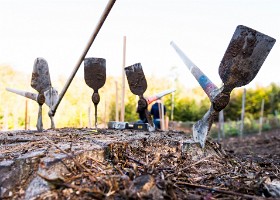 Un arbre, un enfant, 2017 Un arbre, un enfant, édition 2017. Les parents des enfants nés à Lausanne en 2016 ont planté 1716 arbres le 7 octobre 2017 sur cette parcelle. – Les outils sont...