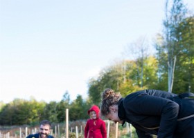 Un arbre, un enfant, 2017 Un arbre, un enfant, édition 2017. Les parents des enfants nés à Lausanne en 2016 ont planté 1716 arbres le 7 octobre 2017 sur cette parcelle.