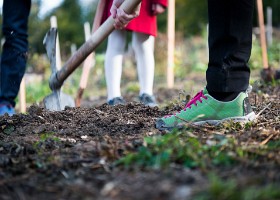 Un arbre, un enfant, 2017 Un arbre, un enfant, édition 2017. Les parents des enfants nés à Lausanne en 2016 ont planté 1716 arbres le 7 octobre 2017 sur cette parcelle.