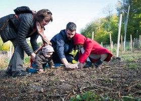 Un arbre, un enfant, 2017 Un arbre, un enfant, édition 2017. Les parents des enfants nés à Lausanne en 2016 ont planté 1716 arbres le 7 octobre 2017 sur cette parcelle.