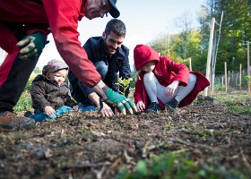 Un arbre, un enfant, 2017 Un arbre, un enfant, édition 2017. Les parents des enfants nés à Lausanne en 2016 ont planté 1716 arbres le 7 octobre 2017 sur cette parcelle.
