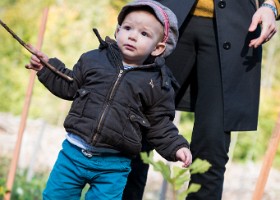 Un arbre, un enfant, 2017 Un arbre, un enfant, édition 2017. Les parents des enfants nés à Lausanne en 2016 ont planté 1716 arbres le 7 octobre 2017 sur cette parcelle.