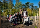 Un arbre, un enfant, édition 2017. Les parents des enfants nés à Lausanne en 2016 ont planté 1716 arbres le 7 octobre 2017 sur cette parcelle.  © VDL : SPADOM, Vernand, arbre, arbres, automne, chêne, enfant, enfants, forestier, forêt, manifestation, nature, octobre, plantation, végétal