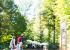 Un arbre, un enfant, édition 2017. Les parents des enfants nés à Lausanne en 2016 ont planté 1716 arbres le 7 octobre 2017 sur cette parcelle.  © VDL : SPADOM, Vernand, arbre, arbres, automne, chêne, enfant, enfants, forestier, forêt, hibou, manifestation, nature, octobre, plantation, végétal