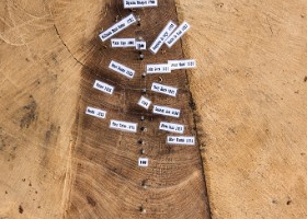 Un arbre, un enfant, édtion 2018 Un arbre, un enfant, édition 2018. Les parents des enfants nés à Lausanne en 2017 ont planté 1637 arbres le 6 octobre 2018 sur cette parcelle.
