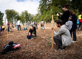 Un arbre, un enfant, édtion 2018 Un arbre, un enfant, édition 2018. Les parents des enfants nés à Lausanne en 2017 ont planté 1637 arbres le 6 octobre 2018 sur cette parcelle.