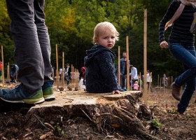 Un arbre, un enfant, édtion 2018 Un arbre, un enfant, édition 2018. Les parents des enfants nés à Lausanne en 2017 ont planté 1637 arbres le 6 octobre 2018 sur cette parcelle.