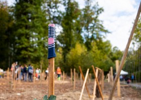 Un arbre, un enfant, édtion 2018 Un arbre, un enfant, édition 2018. Les parents des enfants nés à Lausanne en 2017 ont planté 1637 arbres le 6 octobre 2018 sur cette parcelle.