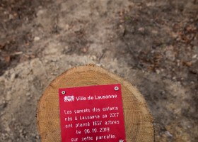 Un arbre, un enfant, édtion 2018 Un arbre, un enfant, édition 2018. Les parents des enfants nés à Lausanne en 2017 ont planté 1637 arbres le 6 octobre 2018 sur cette parcelle.