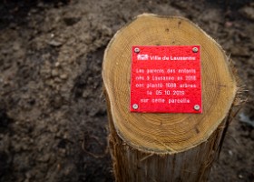 Un arbre un enfant 2019 Un arbre, un enfant, édition 2019. Les parents des enfants nés à Lausanne en 2018 ont planté 1688 arbres le 5 octobre 2019 sur cette parcelle.