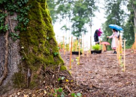 Un arbre un enfant 2019 Un arbre, un enfant, édition 2019. Les parents des enfants nés à Lausanne en 2018 ont planté 1688 arbres le 5 octobre 2019 sur cette parcelle.