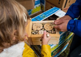 Un arbre un enfant 2019 Un arbre, un enfant, édition 2019. Les parents des enfants nés à Lausanne en 2018 ont planté 1688 arbres le 5 octobre 2019 sur cette parcelle.
