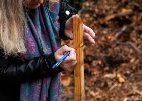 Un arbre un enfant 2019 Un arbre, un enfant, édition 2019. Les parents des enfants nés à Lausanne en 2018 ont planté 1688 arbres le 5 octobre 2019 sur cette parcelle.