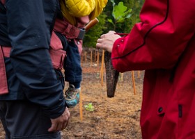 Un arbre un enfant 2019 Un arbre, un enfant, édition 2019. Les parents des enfants nés à Lausanne en 2018 ont planté 1688 arbres le 5 octobre 2019 sur cette parcelle.