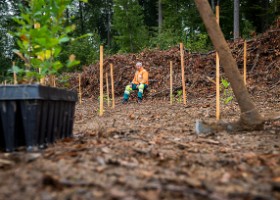Un arbre un enfant 2019 Un arbre, un enfant, édition 2019. Les parents des enfants nés à Lausanne en 2018 ont planté 1688 arbres le 5 octobre 2019 sur cette parcelle.