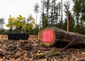 Un arbre un enfant 2020 Un arbre, un enfant: 20 ans déjà! En cette année de crise sanitaire, la manifestation n’a pu accueillir ni enfants ni familles. Cependant, 1592 arbres ont été...