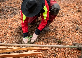 Un arbre un enfant 2020 Un arbre, un enfant: 20 ans déjà! En cette année de crise sanitaire, la manifestation n’a pu accueillir ni enfants ni familles. Cependant, 1592 arbres ont été...