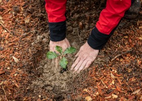 Un arbre un enfant 2020 Un arbre, un enfant: 20 ans déjà! En cette année de crise sanitaire, la manifestation n’a pu accueillir ni enfants ni familles. Cependant, 1592 arbres ont été...