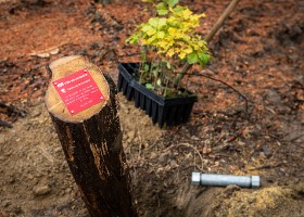 Un arbre un enfant 2020 Un arbre, un enfant: 20 ans déjà! En cette année de crise sanitaire, la manifestation n’a pu accueillir ni enfants ni familles. Cependant, 1592 arbres ont été...