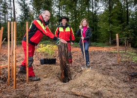 Un arbre un enfant 2020 De gauche à droite: Serge Naoux et Lionel Regamey, forestiers et chefs d'équipes du Service des parcs et domaines de la Ville de Lausanne, et Natacha...