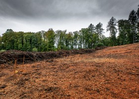 Un arbre un enfant 2020 Un arbre, un enfant: 20 ans déjà! En cette année de crise sanitaire, la manifestation n’a pu accueillir ni enfants ni familles. Cependant, 1592 arbres ont été...