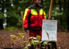 Un arbre un enfant 2020 Un arbre, un enfant: 20 ans déjà! En cette année de crise sanitaire, la manifestation n’a pu accueillir ni enfants ni familles. Cependant, 1592 arbres ont été...