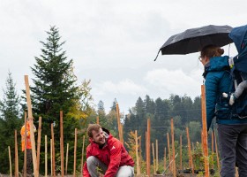 unarbre_unenfant_prazsechaud_2022_10