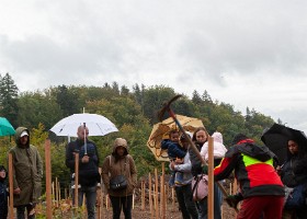 unarbre_unenfant_prazsechaud_2022_12