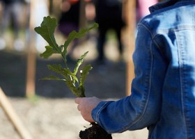UnEnfantUnArbre23-035