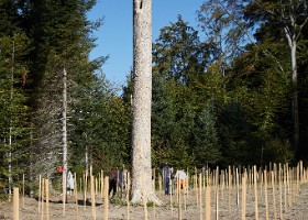 UnEnfantUnArbre23-081