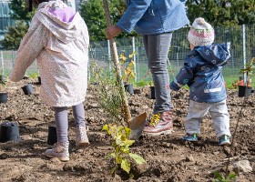 unarbre_unenfant2024_maladiere-29