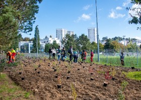 unarbre_unenfant2024_maladiere-33