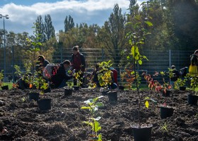 unarbre_unenfant2024_maladiere-9