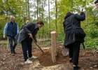 Un arbre, un enfant: édition 2025 au Chalet-à-Gobet  © VDL : 1 arbre 1 enfant, 1a1e, 1arbre1enfant, LEA, SPADOM, arbre, arbuste, bois, bucheron, bûcheron, chalet-à-gobet, enfant, famille, forêt, jorat, nature, plantage, planter, un arbre un enfant