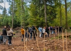 Un arbre, un enfant: édition 2025 au Chalet-à-Gobet  © VDL : 1 arbre 1 enfant, 1a1e, 1arbre1enfant, LEA, SPADOM, arbre, arbuste, bois, bucheron, bûcheron, chalet-à-gobet, enfant, famille, forêt, jorat, nature, plantage, planter, un arbre un enfant