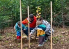 Un arbre, un enfant: édition 2025 au Chalet-à-Gobet  © VDL : 1 arbre 1 enfant, 1a1e, 1arbre1enfant, LEA, SPADOM, arbre, arbuste, bois, bucheron, bûcheron, chalet-à-gobet, enfant, famille, forêt, jorat, nature, plantage, planter, un arbre un enfant