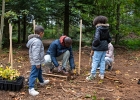 Un arbre, un enfant: édition 2025 au Chalet-à-Gobet  © VDL : 1 arbre 1 enfant, 1a1e, 1arbre1enfant, LEA, SPADOM, arbre, arbuste, bois, bucheron, bûcheron, chalet-à-gobet, enfant, famille, forêt, jorat, nature, plantage, planter, un arbre un enfant