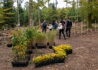 Un arbre, un enfant: édition 2025 au Chalet-à-Gobet  © VDL : 1 arbre 1 enfant, 1a1e, 1arbre1enfant, LEA, SPADOM, arbre, arbuste, bois, bucheron, bûcheron, chalet-à-gobet, enfant, famille, forêt, jorat, nature, plantage, planter, un arbre un enfant