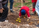 Un arbre, un enfant: édition 2025 au Chalet-à-Gobet  © VDL : 1 arbre 1 enfant, 1a1e, 1arbre1enfant, LEA, SPADOM, arbre, arbuste, bois, bucheron, bûcheron, chalet-à-gobet, enfant, famille, forêt, jorat, nature, plantage, planter, un arbre un enfant