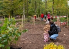 Un arbre, un enfant: édition 2025 au Chalet-à-Gobet  © VDL : 1 arbre 1 enfant, 1a1e, 1arbre1enfant, LEA, SPADOM, arbre, arbuste, bois, bucheron, bûcheron, chalet-à-gobet, enfant, famille, forêt, jorat, nature, plantage, planter, un arbre un enfant