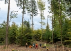 Un arbre, un enfant: édition 2025 au Chalet-à-Gobet  © VDL : 1 arbre 1 enfant, 1a1e, 1arbre1enfant, LEA, SPADOM, arbre, arbuste, bois, bucheron, bûcheron, chalet-à-gobet, enfant, famille, forêt, jorat, nature, plantage, planter, un arbre un enfant