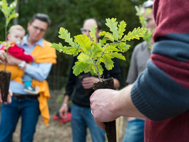 Edition 2015 Chaque automne, les parents domiciliés à Lausanne dont l’enfant est né l’année précédente sont invités à venir planter...