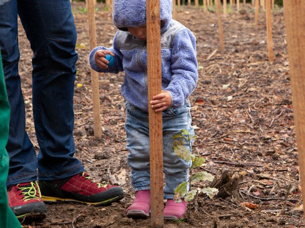 Edition 2022 Chaque automne, les parents domiciliés à Lausanne dont l’enfant est né l’année précédente sont invités à venir planter...